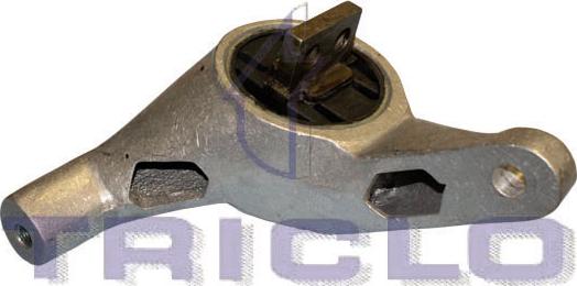 Triclo 368632 - Подушка, опора, подвеска двигателя autosila-amz.com
