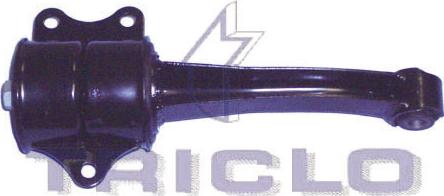 Triclo 363914 - Подушка, опора, подвеска двигателя autosila-amz.com