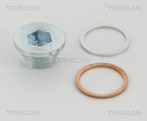 Triscan 95-0983 - Резьбовая пробка, масляный поддон autosila-amz.com