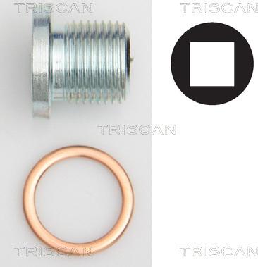 Triscan 9500 1004 - Резьбовая пробка, масляный поддон autosila-amz.com