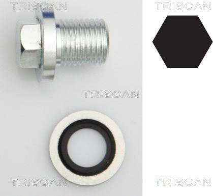Triscan 9500 1008 - Резьбовая пробка, масляный поддон autosila-amz.com