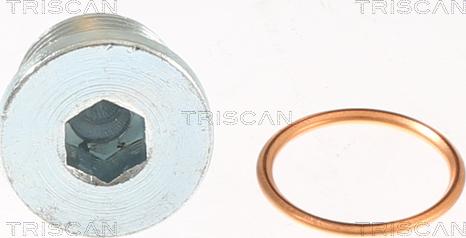 Triscan 9500 1007 - Резьбовая пробка, масляный поддон autosila-amz.com