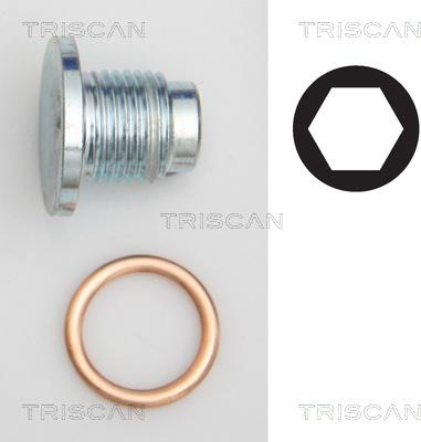 Triscan 9500 1019 - Резьбовая пробка, масляный поддон autosila-amz.com