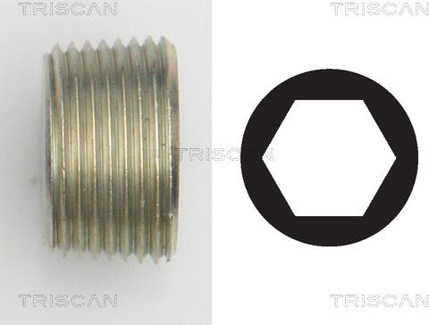 Triscan 9500 1015 - Резьбовая пробка, масляный поддон autosila-amz.com