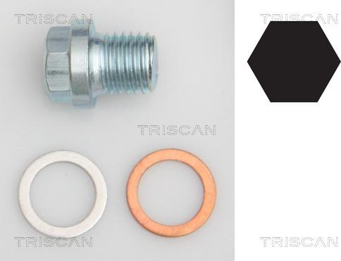Triscan 9500 1011 - Резьбовая пробка, масляный поддон autosila-amz.com