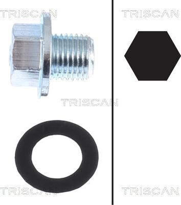 Triscan 9500 1013 - Резьбовая пробка, масляный поддон autosila-amz.com