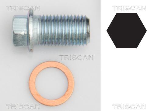 Triscan 9500 1012 - Резьбовая пробка, масляный поддон autosila-amz.com