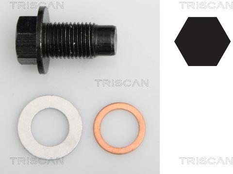 Triscan 9500 1020 - Резьбовая пробка, масляный поддон autosila-amz.com
