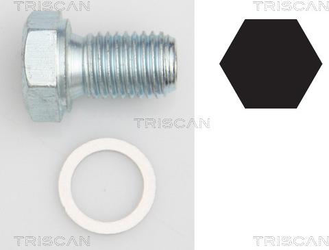 Triscan 9500 1101 - Резьбовая пробка, масляный поддон autosila-amz.com