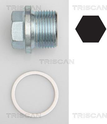Triscan 9500 1102 - Резьбовая пробка, масляный поддон autosila-amz.com