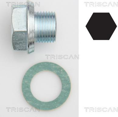 Triscan 9500 1301 - Резьбовая пробка, масляный поддон autosila-amz.com