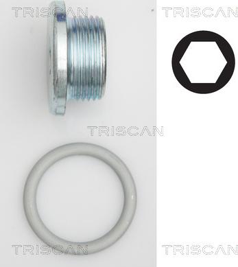 Triscan 9500 2904 - Резьбовая пробка, масляный поддон autosila-amz.com