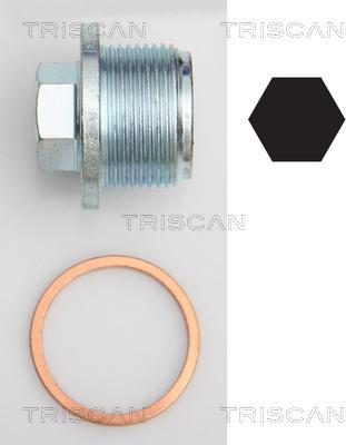 Triscan 9500 2908 - Резьбовая пробка, масляный поддон autosila-amz.com