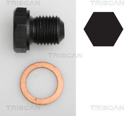 Triscan 9500 2902 - Резьбовая пробка, масляный поддон autosila-amz.com