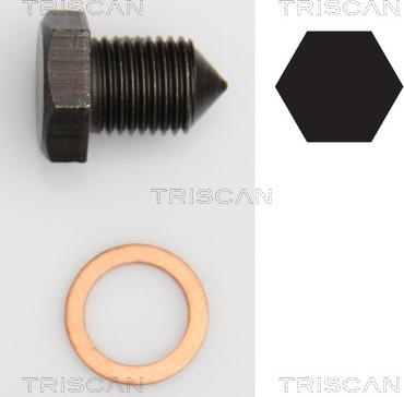 Triscan 9500 2907 - Резьбовая пробка, масляный поддон autosila-amz.com