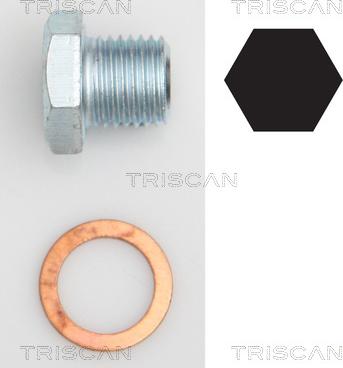 Triscan 9500 2402 - Резьбовая пробка, масляный поддон autosila-amz.com