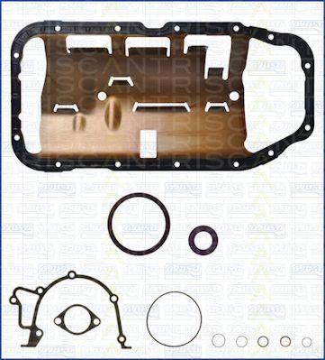 Triscan 595-5081 - Комплект прокладок, блок-картер двигателя autosila-amz.com