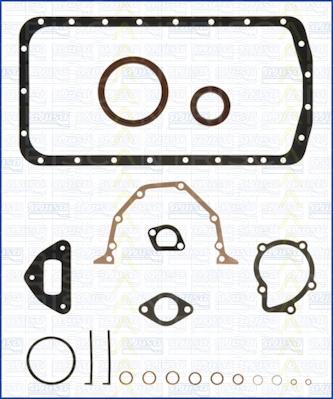 Triscan 595-1806 - Комплект прокладок, блок-картер двигателя autosila-amz.com