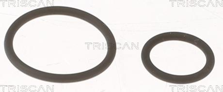 Triscan 596-1001 - Комплект прокладок, форсунка autosila-amz.com