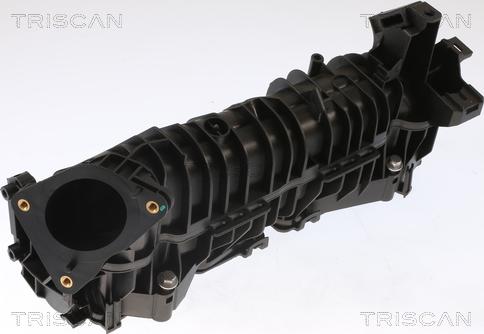 Triscan 8910 11101 - Впускная труба, подвод воздуха autosila-amz.com