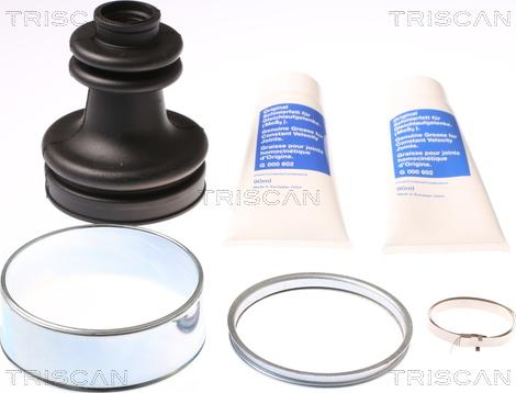 Triscan 8540 42905 - Пыльник, приводной вал autosila-amz.com