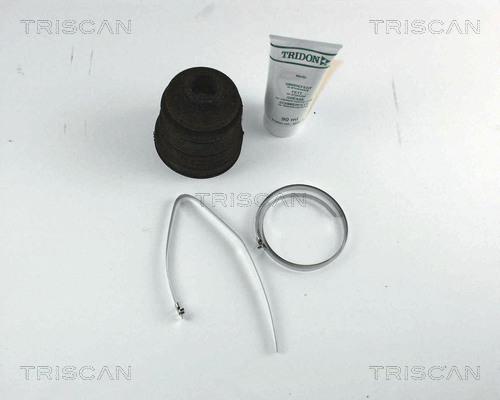 Triscan 8540 42902 - Пыльник, приводной вал autosila-amz.com