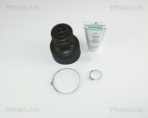 Triscan 8540 65905 - Пыльник, приводной вал autosila-amz.com