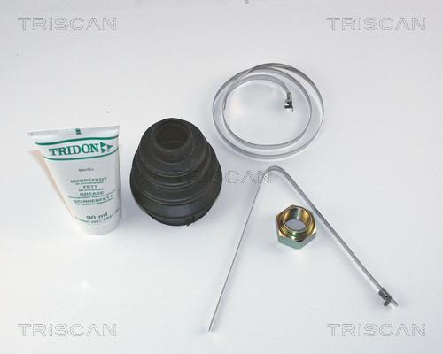 Triscan 8540 15905 - Пыльник, приводной вал autosila-amz.com