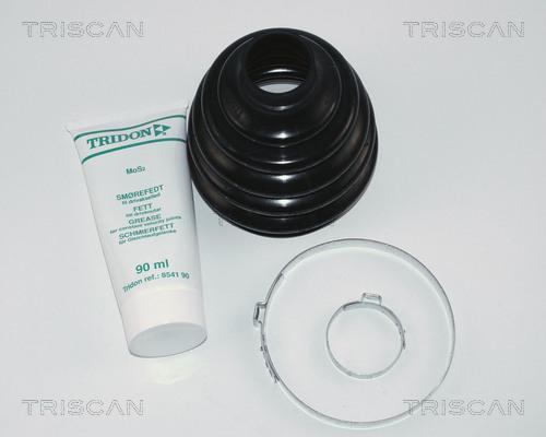 Triscan 8540 16802 - Пыльник, приводной вал autosila-amz.com