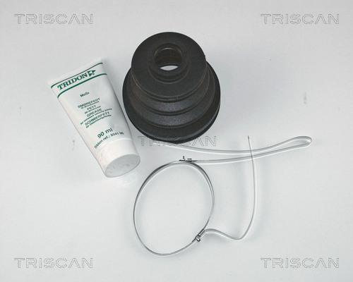 Triscan 8540 13806 - Пыльник, приводной вал autosila-amz.com