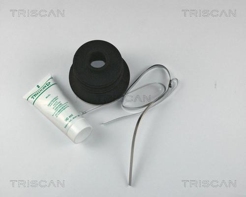 Triscan 8540 13801 - Пыльник, приводной вал autosila-amz.com