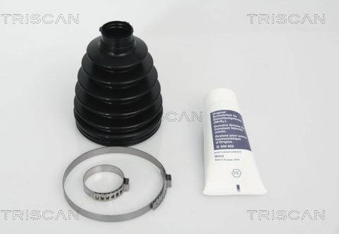 Triscan 8540 13811 - Пыльник, приводной вал autosila-amz.com
