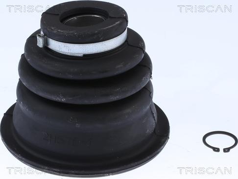 Triscan 8540 25906 - Пыльник, приводной вал autosila-amz.com