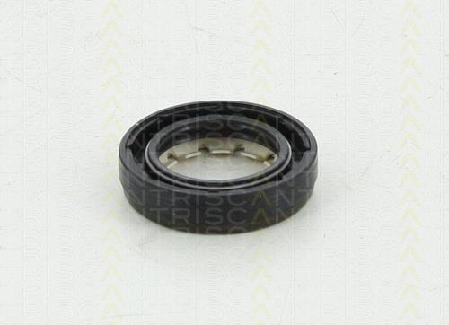 Triscan 8550 10043 - Уплотняющее кольцо, дифференциал autosila-amz.com