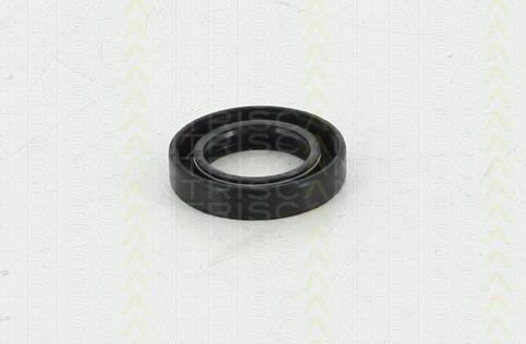 Triscan 8550 10031 - Уплотняющее кольцо, ступенчатая коробка передач autosila-amz.com