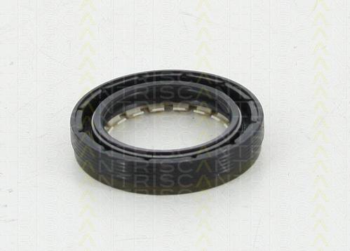 Triscan 8550 10024 - Уплотняющее кольцо, дифференциал autosila-amz.com