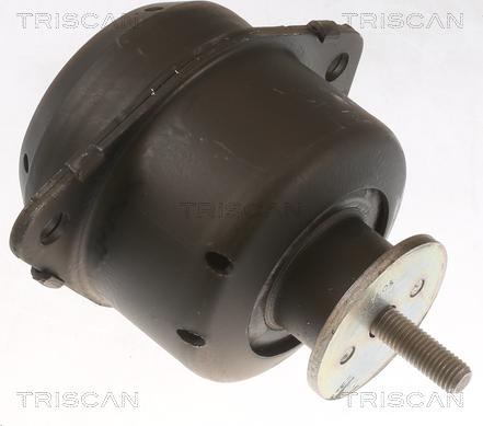 Triscan 8505 65103 - Подушка, опора, подвеска двигателя autosila-amz.com