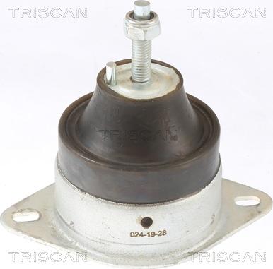 Triscan 8505 10119 - Подушка, опора, подвеска двигателя autosila-amz.com