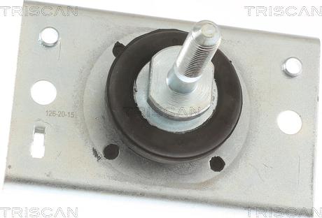 Triscan 8505 10116 - Подушка, опора, подвеска двигателя autosila-amz.com