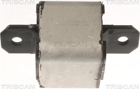 Triscan 8505 10120 - Подушка, опора, подвеска двигателя autosila-amz.com