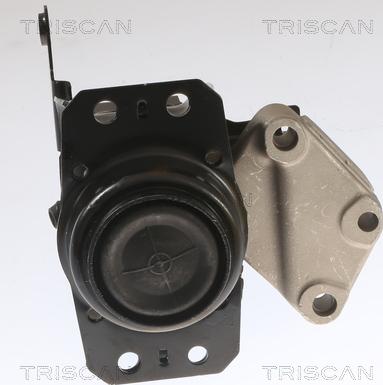 Triscan 8505 11208 - Подвеска, автоматическая коробка передач autosila-amz.com