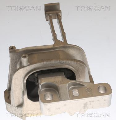 Triscan 8505 29164 - Подушка, опора, подвеска двигателя autosila-amz.com