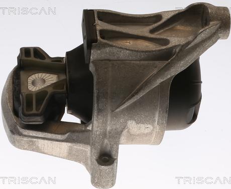 Triscan 8505 29168 - Подушка, опора, подвеска двигателя autosila-amz.com