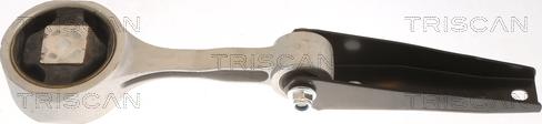 Triscan 8505 29102 - Подушка, опора, подвеска двигателя autosila-amz.com