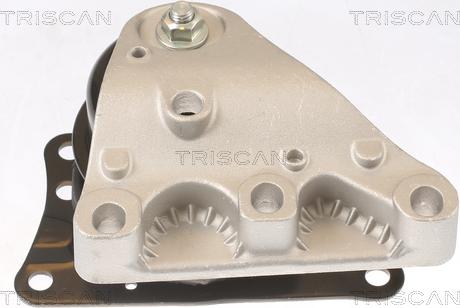 Triscan 8505 29110 - Подушка, опора, подвеска двигателя autosila-amz.com