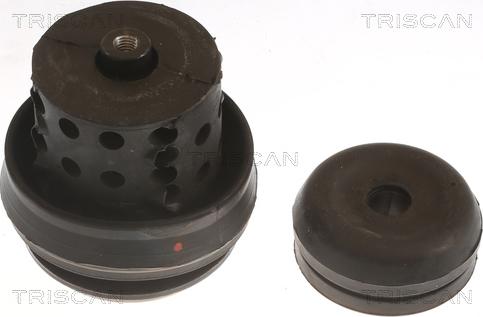 Triscan 8505 29118 - Подушка, опора, подвеска двигателя autosila-amz.com