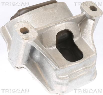 Triscan 8505 29130 - Подушка, опора, подвеска двигателя autosila-amz.com