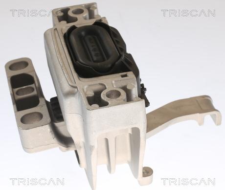 Triscan 8505 29129 - Подушка, опора, подвеска двигателя autosila-amz.com