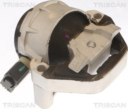 Triscan 8505 29170 - Подушка, опора, подвеска двигателя autosila-amz.com