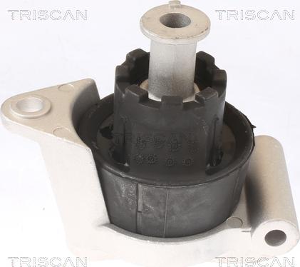 Triscan 8505 24103 - Подушка, опора, подвеска двигателя autosila-amz.com